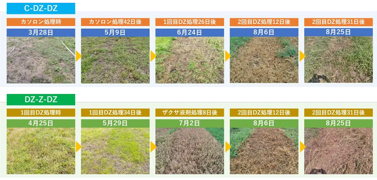 夏の水田除草にC-DZ作戦 北興化学工業が熱中症対策提案 3薬剤