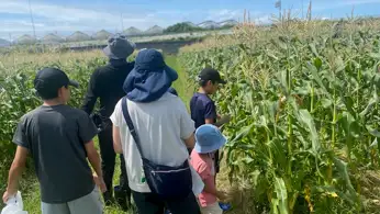 夏の味覚を五感で満喫「とうもろこし」「メロン」収穫体験開催　豊橋田原広域農業推進会議