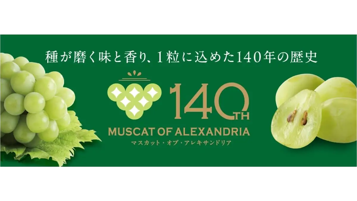ぶどうの女王「マスカット・オブ・アレキサンドリア」栽培140周年記念特集　ＪＡタウン