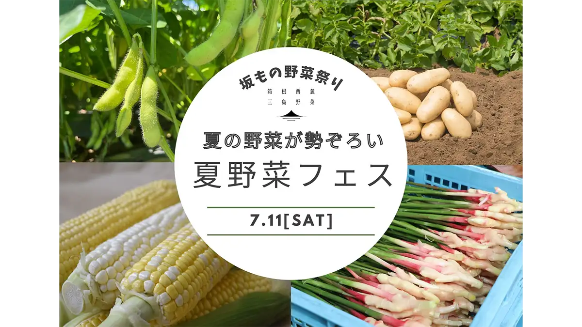 箱根西麓の夏野菜が集結　坂もの野菜祭り「夏野菜フェス」開催　ＪＡふじ伊豆