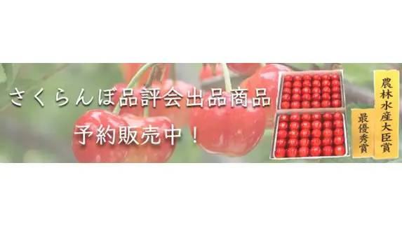 山形県さくらんぼ品評会受賞「佐藤錦」と「紅秀峰」を限定販売 JA