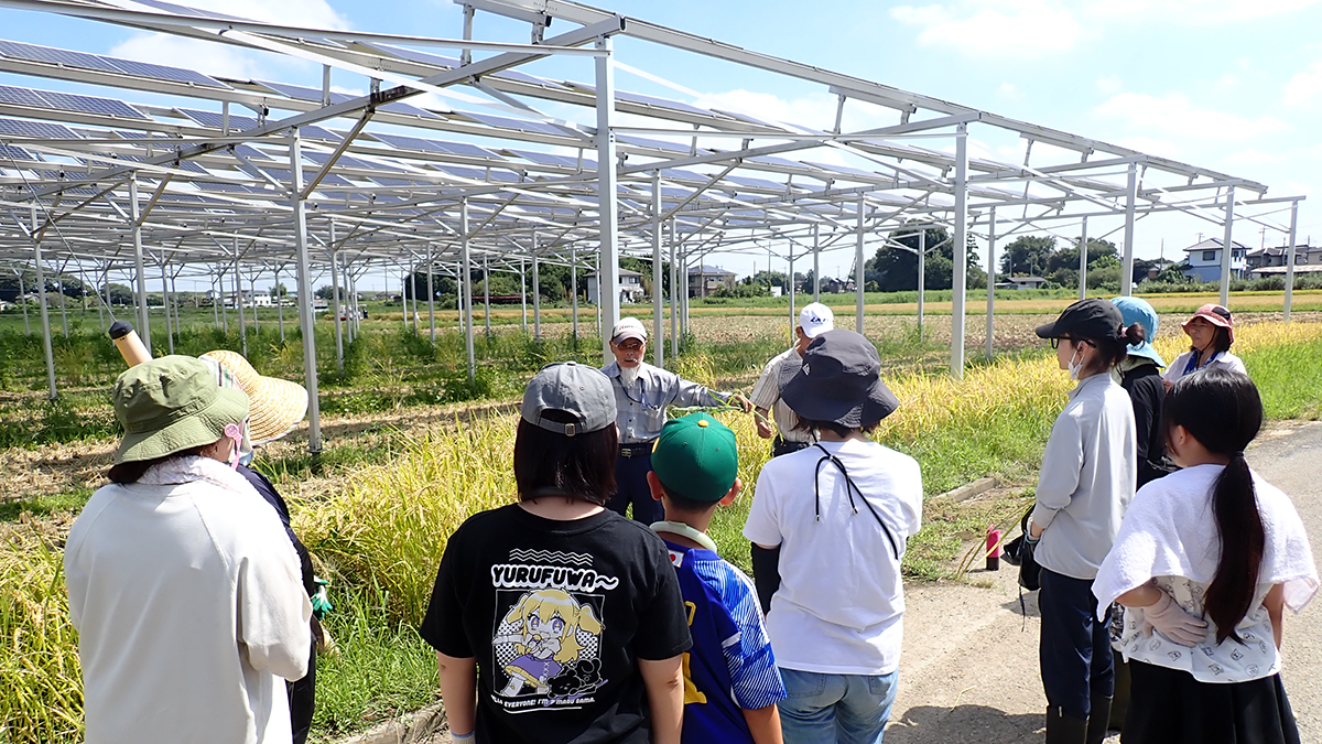 「遮光率30％規制」不適切　中小農家が使いやすい仕組みに　営農型太陽光発電で提言