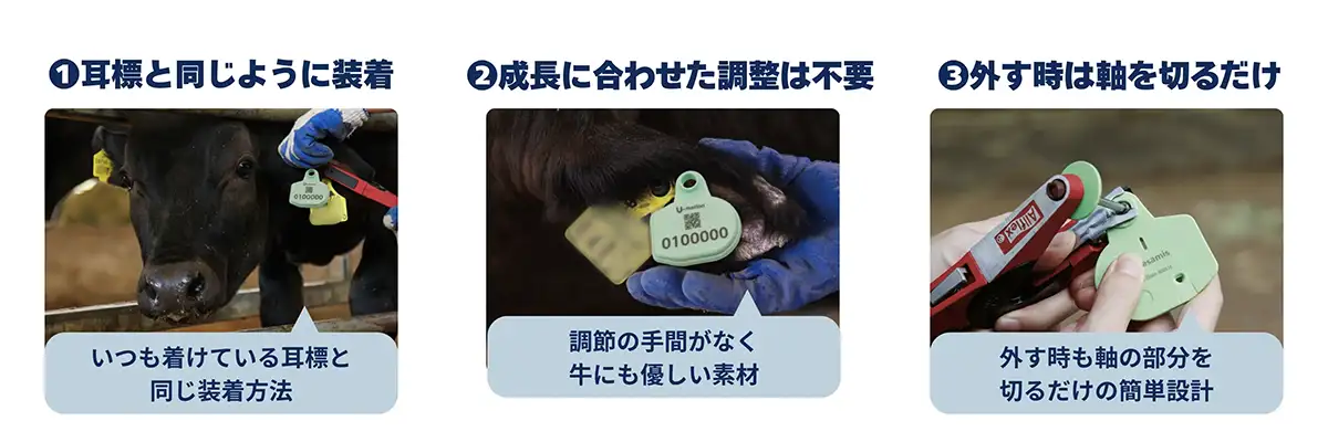 U-motionのイヤタグセンサーを繁殖牛にも対応 デザミス | JAcom 農業 