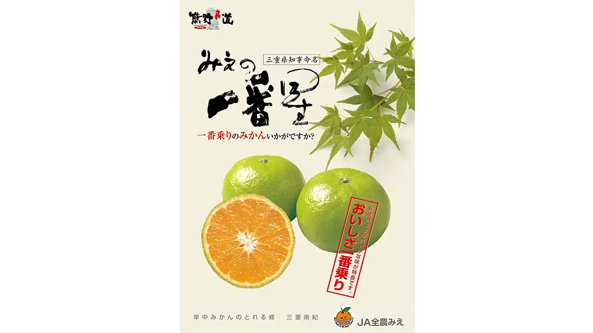 三重県の極早生みかんトップブランド「味一号『みえの一番星』フェア