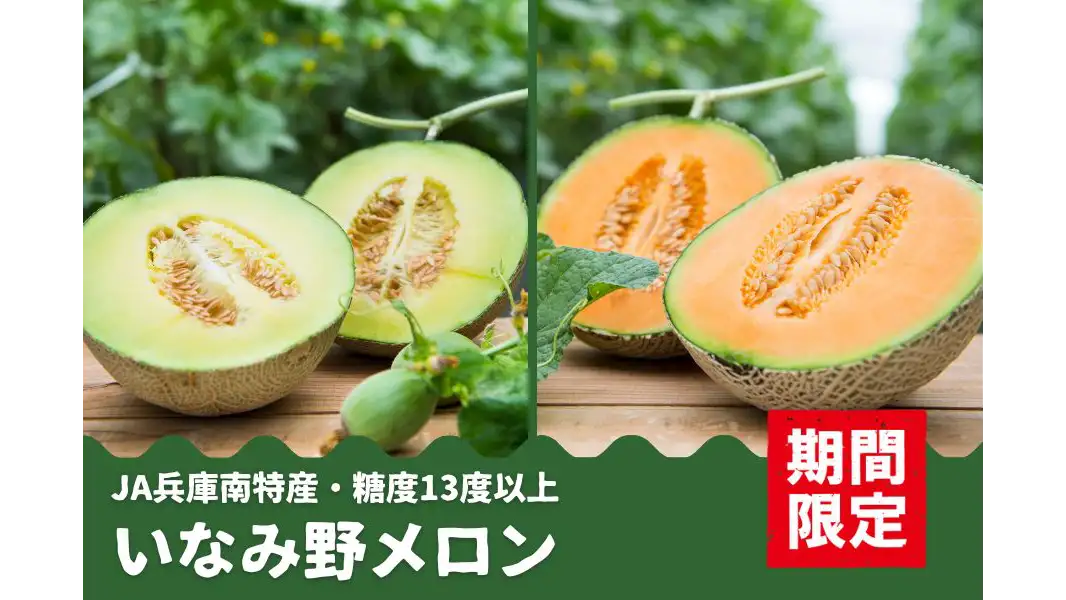 糖度13度以上　兵庫県産「いなみ野メロン」（青肉・赤肉）予約販売開始　ＪＡタウン
