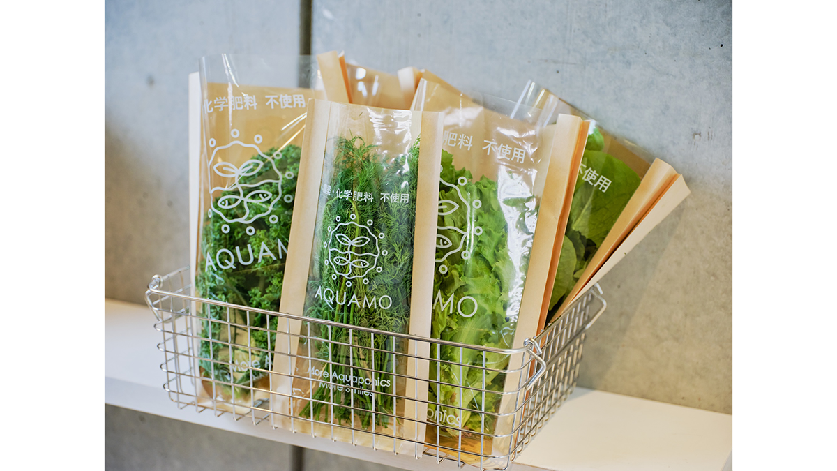 循環型農業「アクアポニックス」産野菜を虎ノ門で販売開始　アクポニ