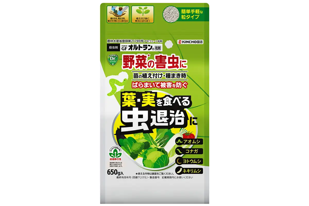 トトさん専用10キロ完全無農薬 トトさん専用10キロ完全無農薬 トトさん専用10キロ完全無農薬 トトさん