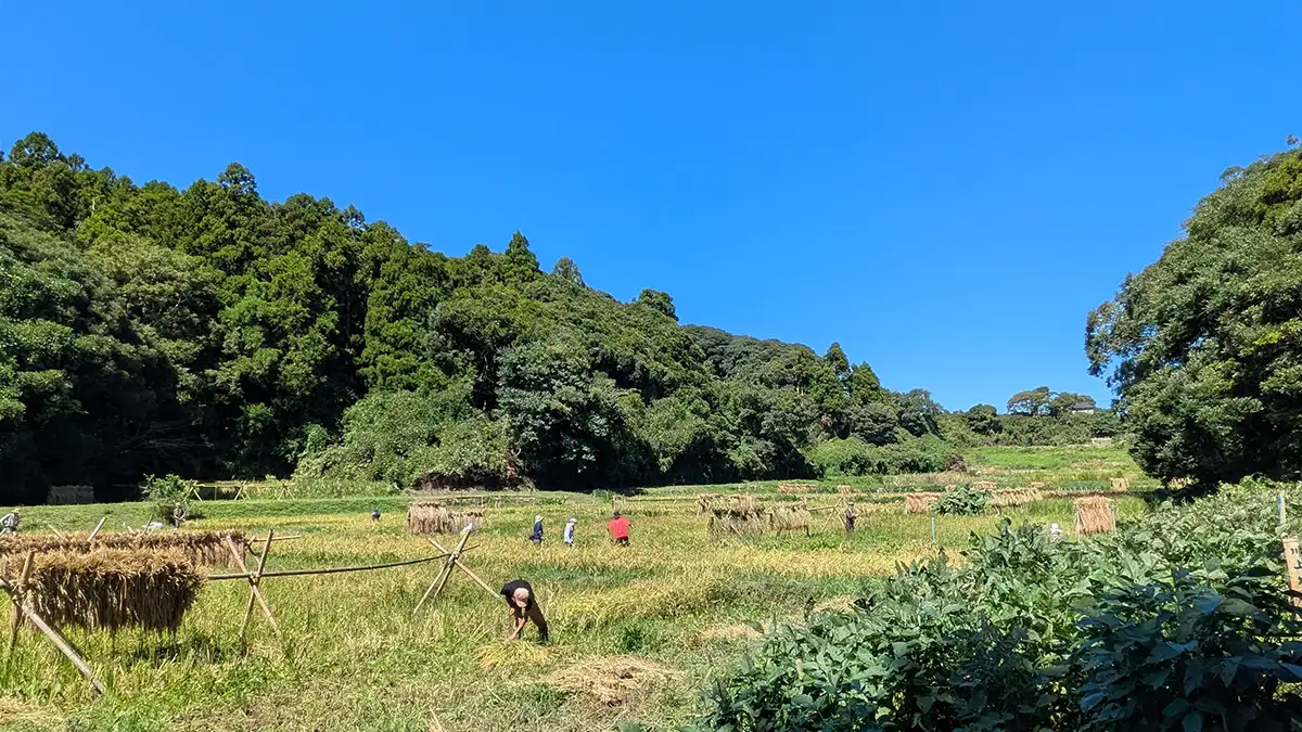 「誰が悪い？」でなく「みんなの問題」として　農と食の民主主義実現へ、ＰＡＲＣが講座