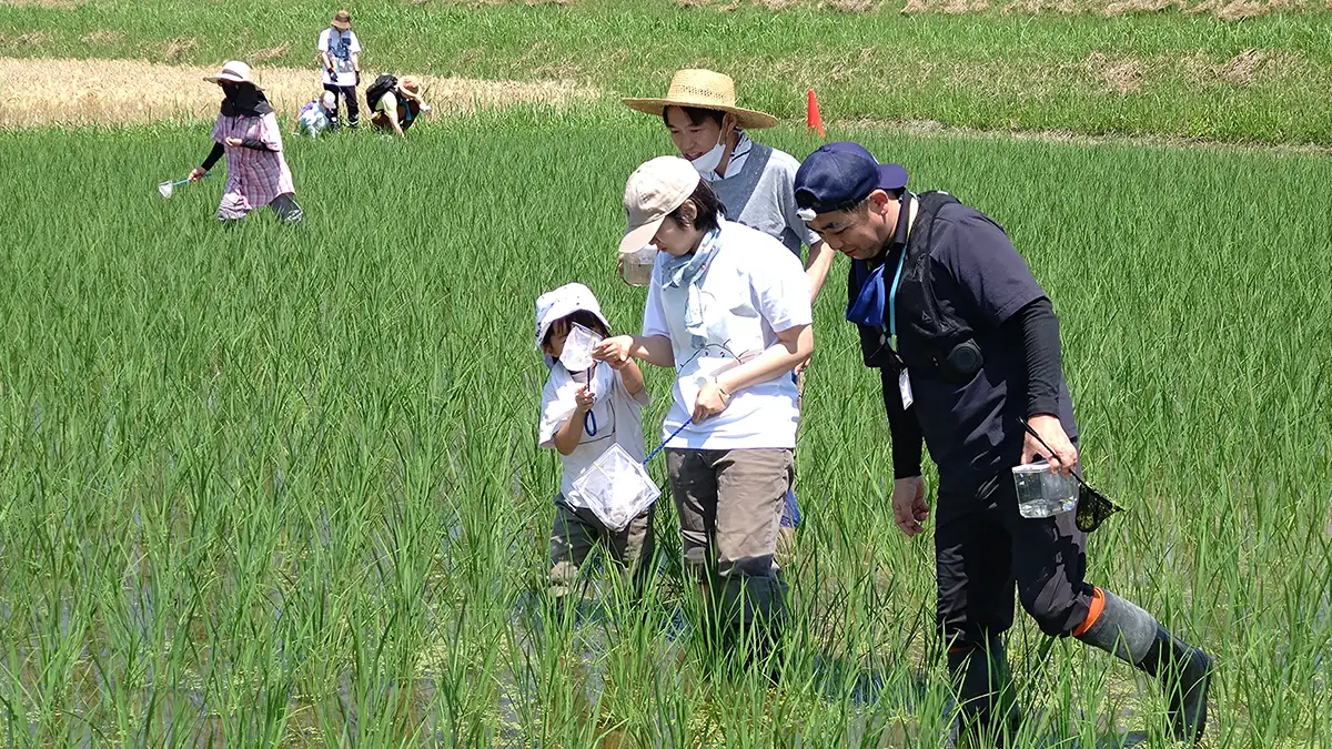 北杜市の田んぼで生き物調査　子どもたちと感じる生物多様性　パルシステム山梨 長野