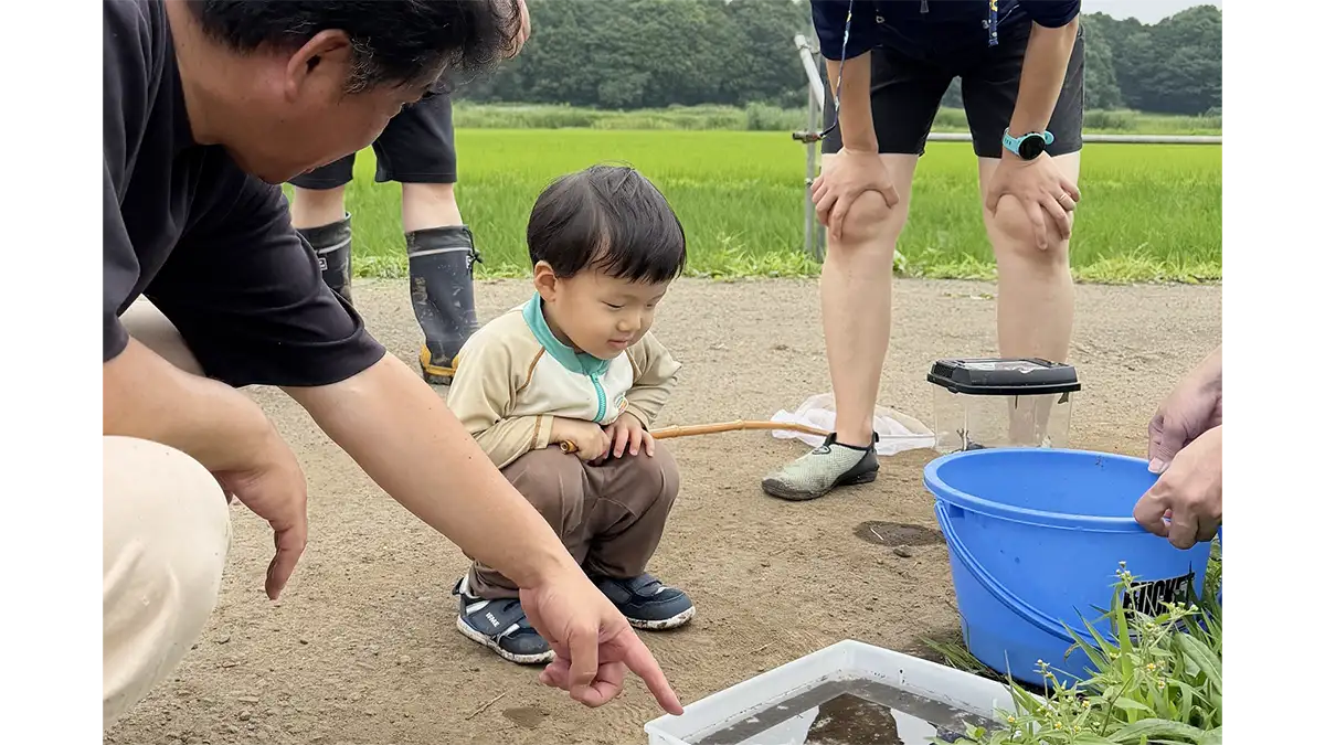 手作り「ビオトープ」で生きもの調査　稲の生長で集まった生き物は26種に　パルシステム