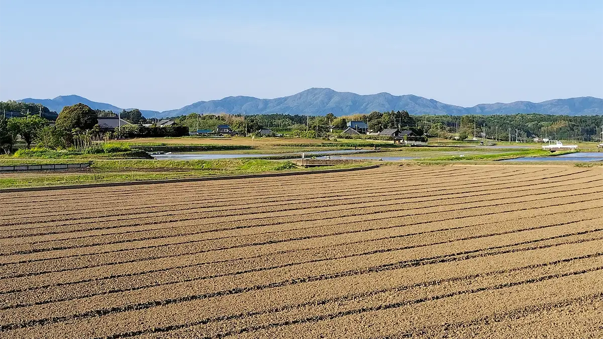 担い手への農地集積率　62.1％　0.6ポイント増