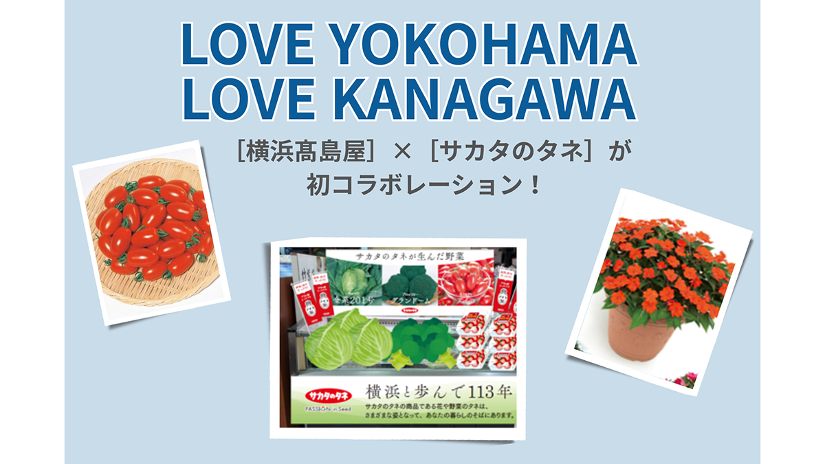 世界に夢をまく「サカタのタネ」 鶴蒔靖夫 IN通信社 横浜髙島屋でサカタのタネ品種の野菜を限定販売「一粒万倍日」タネまき