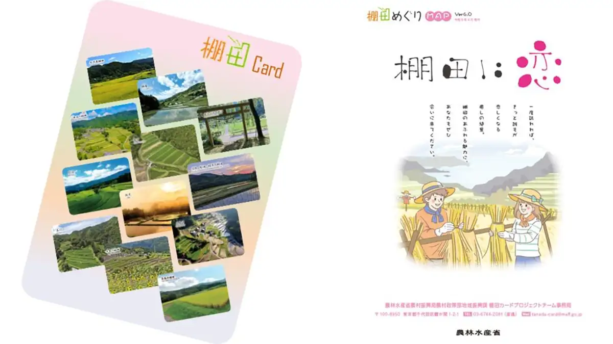 棚田カード　兵庫県養父市　第五弾 棚田の魅力が1枚に「棚田カード」第6弾を発行 農水省 | JAcom 農業協同