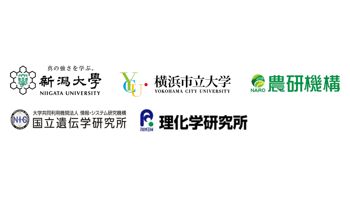 ダイズ種子発生のエピジェネティクス　ダイズの種子発生を支えるクロマチン制御機構の一端が明らかに