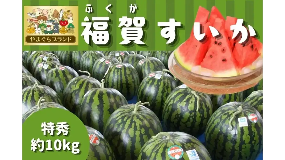 1株1果どりで旨み凝縮　やまぐちブランド登録「福賀すいか」販売中　ＪＡタウン