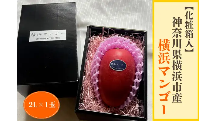 横浜市産の完熟マンゴー「横浜マンゴー」販売中 JAタウン | JAcom