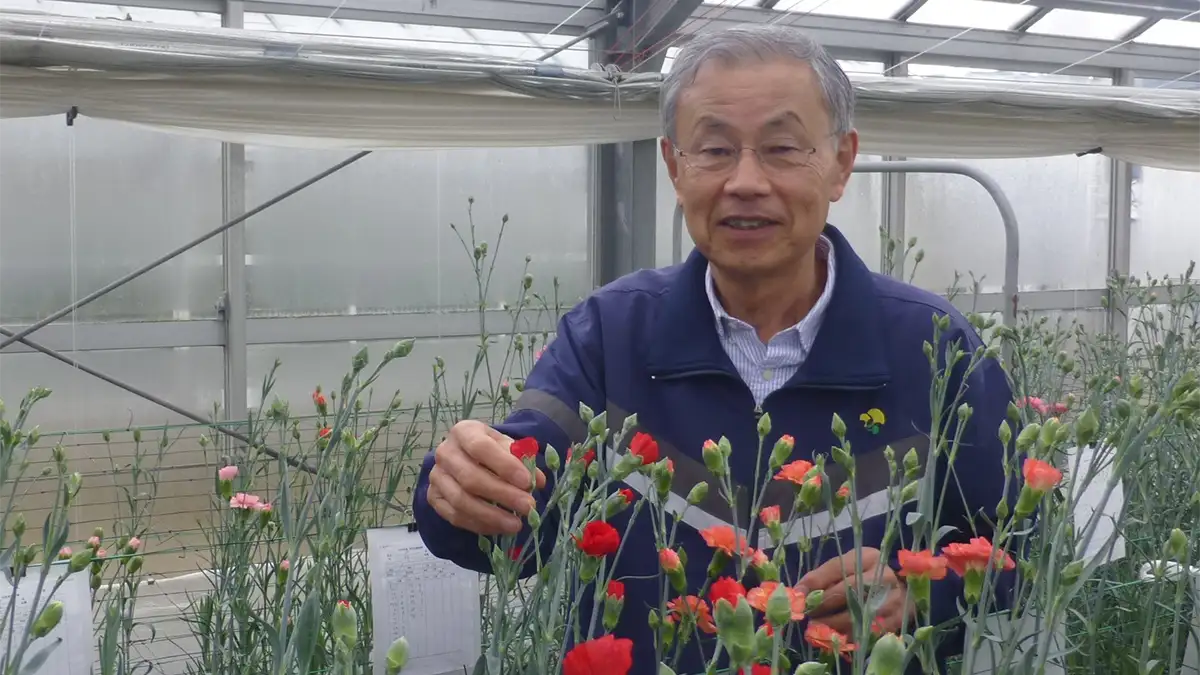 見かけはデジタル、実態はFAX依存のアナログな花の流通【花づくりの現場から】第87回