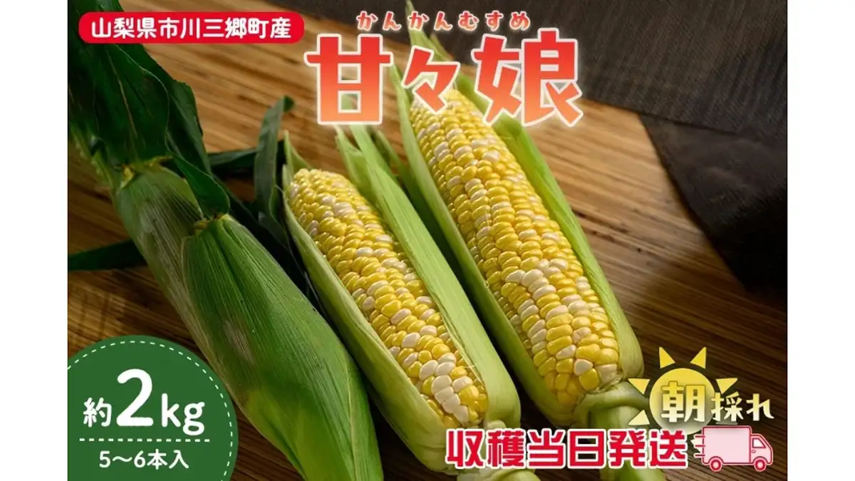 糖度15度以上の希少品種 山梨県産とうもろこし「甘々娘」予約販売中