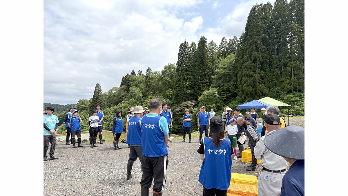 新潟県「棚田みらい応援団」活動に参加　棚田の保全・維持管理に協力　ヤマタネ