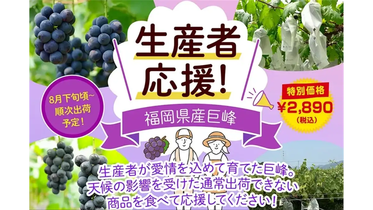 規格外の「福岡県産巨峰」特別価格で販売 JAタウン | JAcom 農業協同