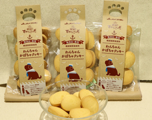 342〕わんちゃんかぼちゃクッキー JAよこすか葉山（神奈川県）【一品