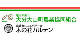 【ＪＡ人事】大分大山町農協（大分県）（6月6日）