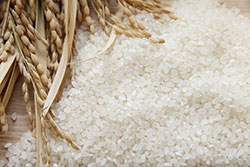 【米生産・流通最前線2016】28年産米需給引き締まり「深掘り」で主食用不足（上）