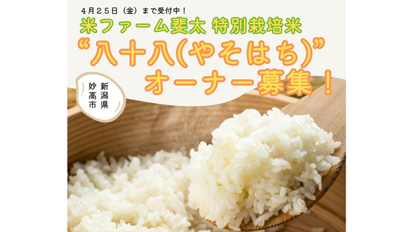 新潟・妙高の自然が育む特別栽培米「八十八」オーナー募集開始