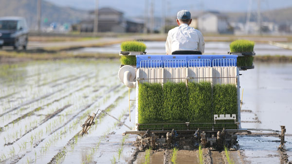 愛知、ダムの底がカラカラに　田植え前、農家に打撃　ＪＡ「節水」呼びかけ