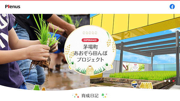 東京本社屋上で米作り　「茅場町あおぞら田んぼプロジェクト」スタート　プレナス