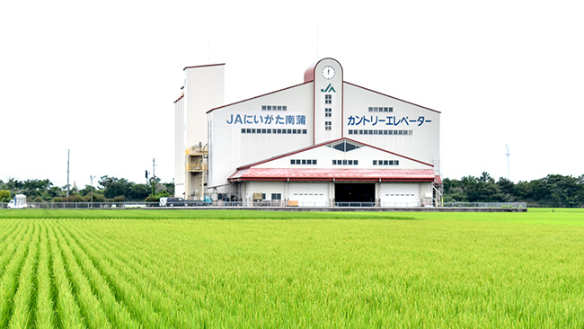 事故防止徹底　ＪＡ挙げて米の品質向上へ ＪＡにいがた南蒲・いちいカントリーエレベーター（新潟県）【ＣＥ品質事故防止強化月間】