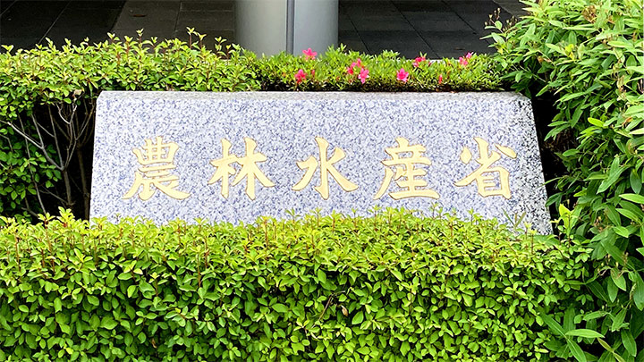 米の現物市場　制度骨格を提示　具体化へ検討継続　農水省