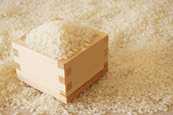 【本紙緊急米調査・全国主要219ＪＡ】天候不順も収量は平年並み　未熟粒など品質低下を懸念