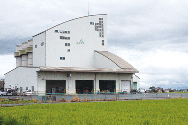 【現地ルポ】3ＣＥで品種構成を変えて荷受け　岱明地区ＣＥ　ＪＡたまな（熊本県）