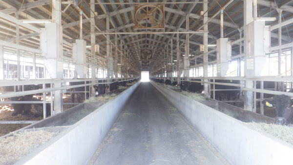 「肉用牛生産における温室効果ガス削減可視化システム構築事業」へ協力　伊藤ハム米久HD