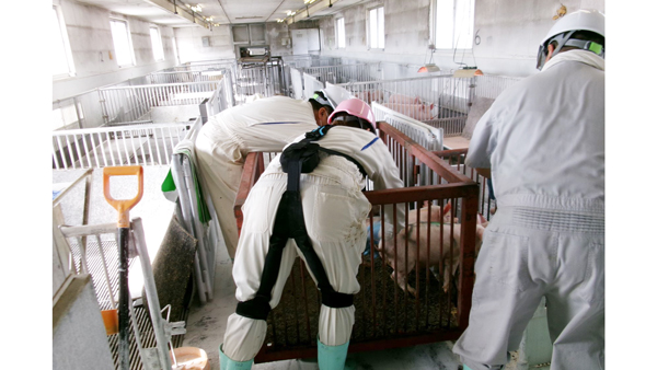 飼養管理、飼料運搬時の負担軽減　家畜改良センターへ「アシストスーツ」導入　イノフィス