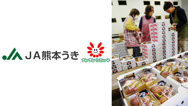 加温栽培で先行スタート　イチジク出荷本格化　ＪＡ熊本うき