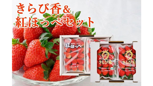 静岡産いちご「紅ほっぺ」「きらぴ香」など対象商品が20％OFF　ＪＡタウン