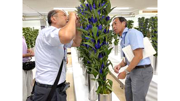 令和7年度岡山県花き共進会を開催　最優秀賞は新見市の黒笹明氏　岡山県花き生産協会