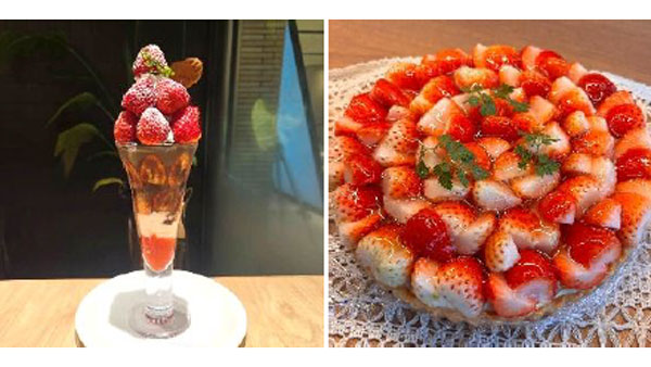 「華やかな、春のはじまり。苺フェア」6日から飲食11店舗で開催　ＪＡ全農