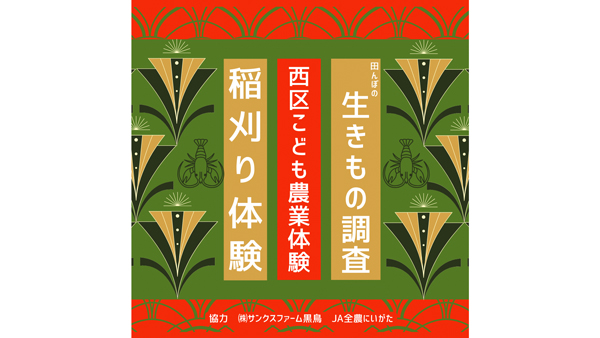 こども農業体験「稲刈り体験＆田んぼの生きもの調査」参加者募集　ＪＡ全農にいがたなどが協力　新潟市