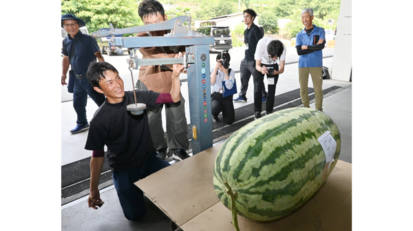ＪＡ鹿本でジャンボスイカ品評会開催　最優秀は119キロの超特大果実