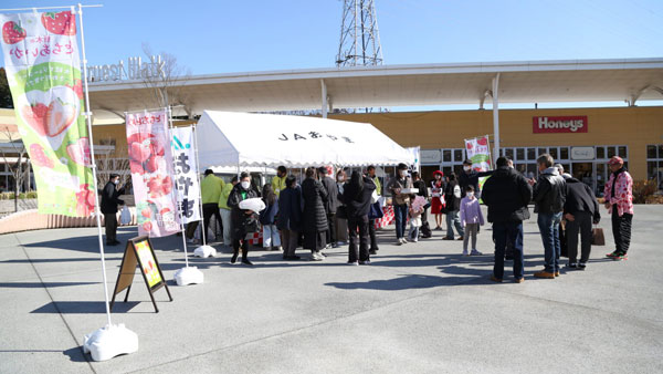 イチゴおいしくPR　3種手頃に　特別規格も　ＪＡおやま
