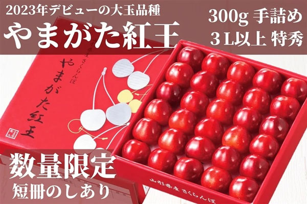さくらんぼ新品種「やまがた紅王」JAタウン「小さなYAMAGATAマルシェ