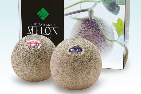 山形県産「鶴姫メロンと鶴姫レッドメロン」セットで販売中　ＪＡタウン