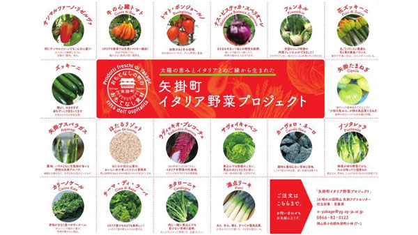 イタリア生まれ　太陽の恵みの野菜プロジェクト　ＪＡ晴れの国岡山