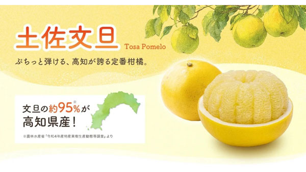高知県のショップ「とさのさとアグリコレット」対象商品が20％OFF　ＪＡタウン