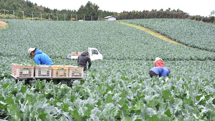 【コロナ禍乗り越え　築こう人に優しい協同社会】ブランド生産拡大　ＪＡ鳥取中央シン創生戦略