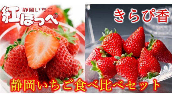 三ヶ日青島みかん、いちごなど「しずおか『手しお屋』」で20％OFF　ＪＡタウン
