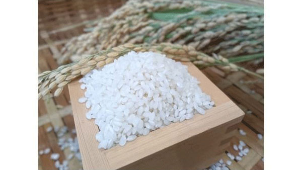 県奨励品種採用から100年　岡山県産米「朝日フェア」開催　ＪＡ全農
